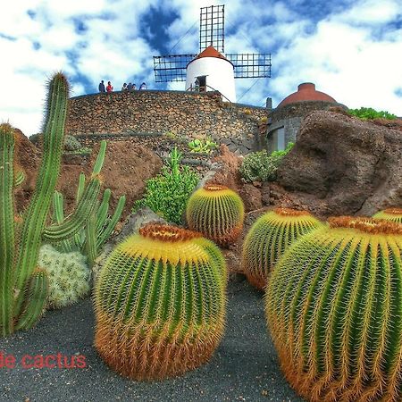Magmamia Daire Puerto del Carmen  Dış mekan fotoğraf